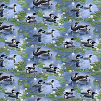 Still Waters : Loons