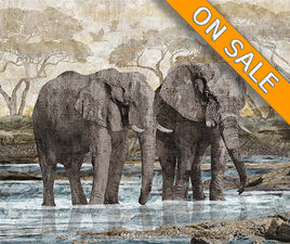 New Dawn From Northcott