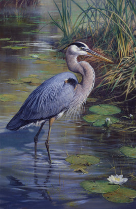The Great Blue (Heron)