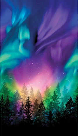 Northern Lights