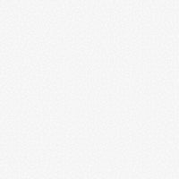 Basically B+W :  Baby's Breath White