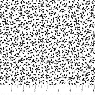 Basically B+W :  Baby's Breath Postive