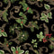 Winter In The Pines : Scroll Black (Metallic)