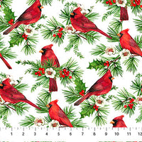 Cardinal Christmas : Cardinals on White 25481-10