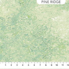 Misted Pines : Summer : Color 2