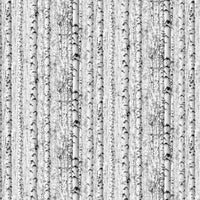 Solitude : Birch Trees 26775-91