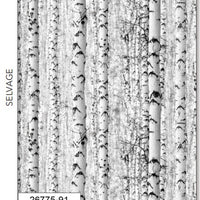 Solitude : Birch Trees 26775-91