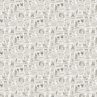 Bear Necessities : Bear News