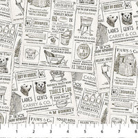 Bear Necessities : Bear News