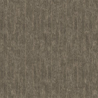 Bear Necessities : Wood