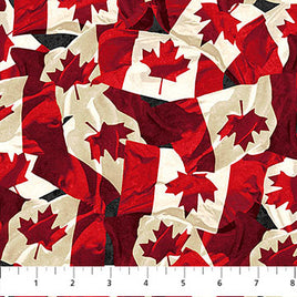 Oh Canada 14 : Flags
