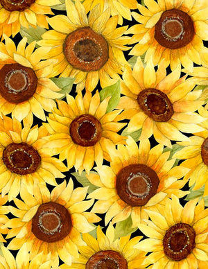 Sunflower Splendor : Packed Sunflowers