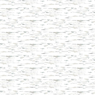 Winter White : Birch Texture 7224-09