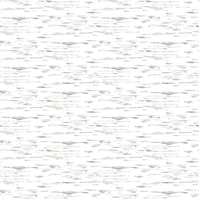 Winter White : Birch Texture 7224-09