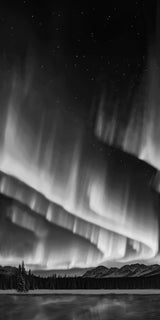 Cosmic Flow 108