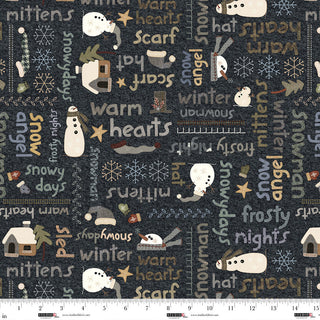 Snowy Days : Snowy Words