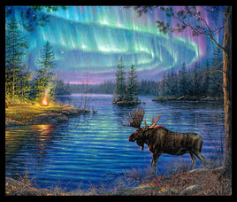 Northern Lights Panel : 36x42