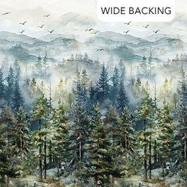 Altitude : Ombre 108” Wide Back