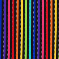 BeColorful : Black Rainbow Stripe