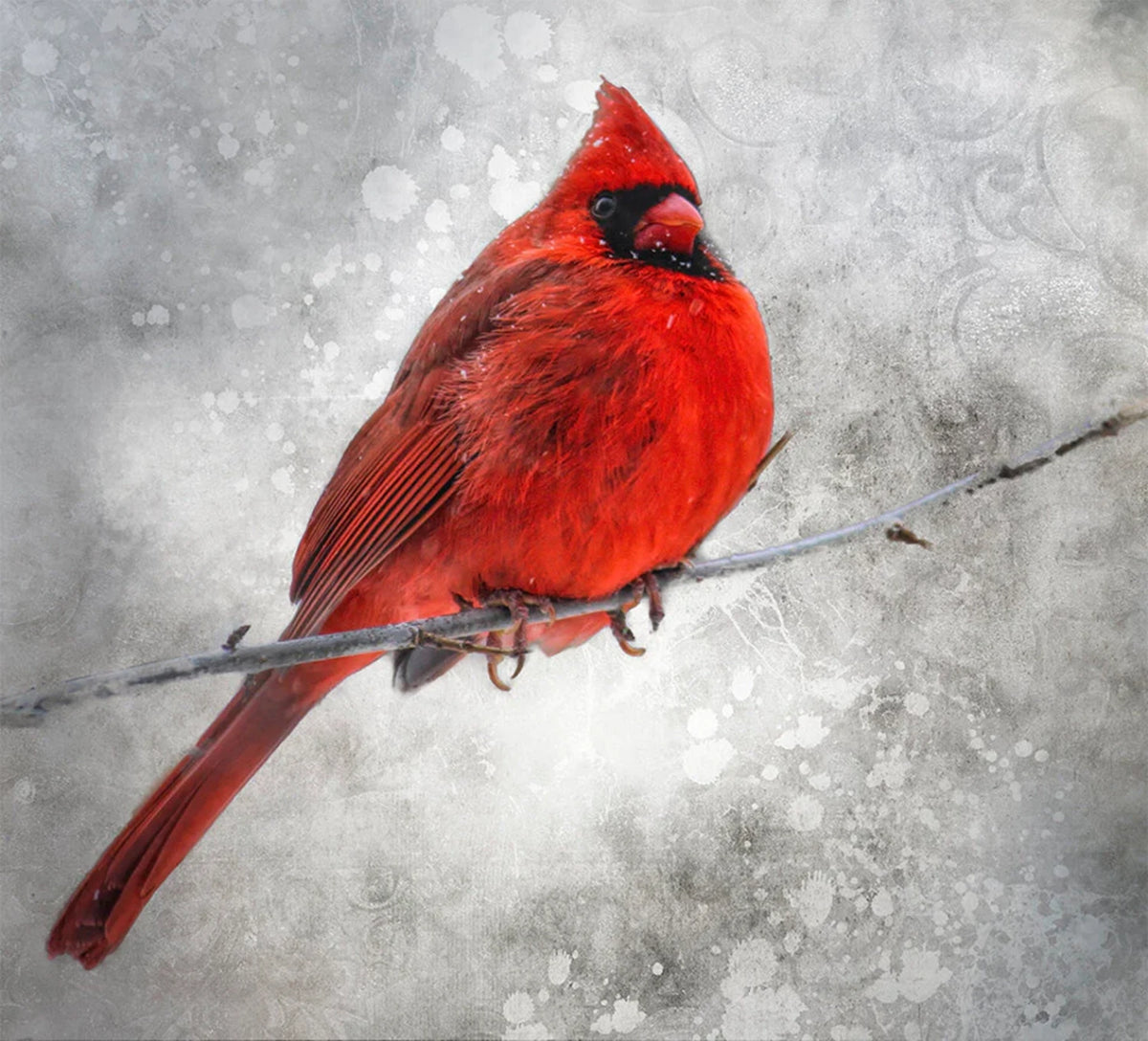 Red Cardinal in Snow Panel 20in x 18in| The Bobbin Robin Shop