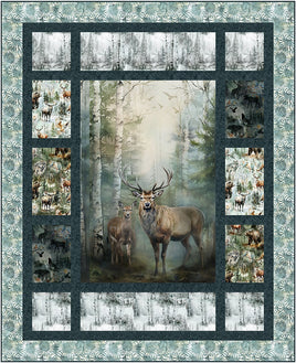 Quilting Renditions : Birds Eye View