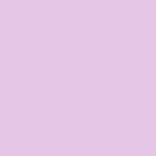 Tula Pink Solid - Dazzle