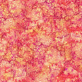 Veranda : Bliss Hibiscus