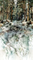 Lone Wolf  : Scenic DP27182-66