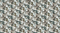 Lone Wolf  : Wolves DP27184-92