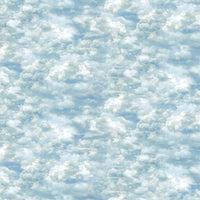 Northwood : Clouds DP27546-44