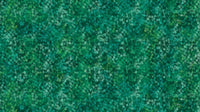 Concerto  : Dots Dk Green DP27834-76