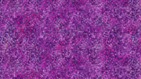 Concerto  : Dots Dk Purple DP27834-86
