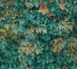 Autumn Breeze : Layered Leaves Teal