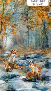 Fox Den : 24