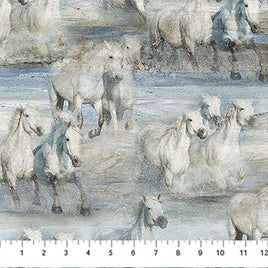 Running Free :  Running Horses