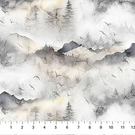 Misty Morning : Mountains