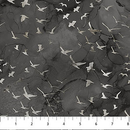 Misty Morning : Birds Black