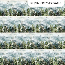 Altitude : Border Stripe