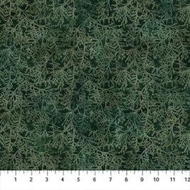 Altitude : Cedar Sprigs - Dk Green