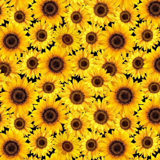 Fall Is In The Air : Packed Sunflowers (Metallic)