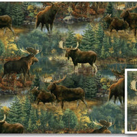 Northwood : Moose DP27543-78