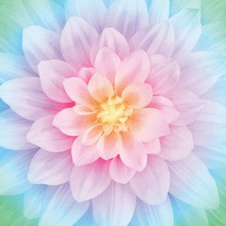 Hoffman Dream Big : Opal