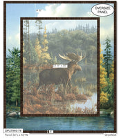 Northwood : Panel DP27540-78