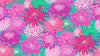 Kaffe Fassett : Japanese Chrysanthemum 108" Backing QBGP003.Magenta
