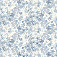 Primavera : Hydrangea