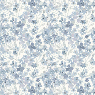 Primavera : Hydrangea
