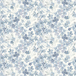 Primavera : Hydrangea