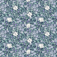 Primavera : Hiking Flowers