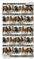 Stallion Border Stripe DP26811-92