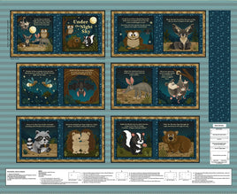 LIttle Readers : Under the Night Sky